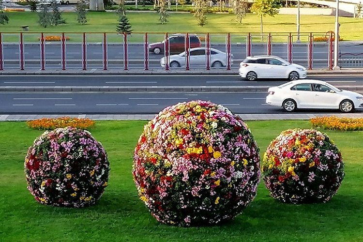 Kayseri Büyükşehir'le Kayseri çiçek bahçesine döndü