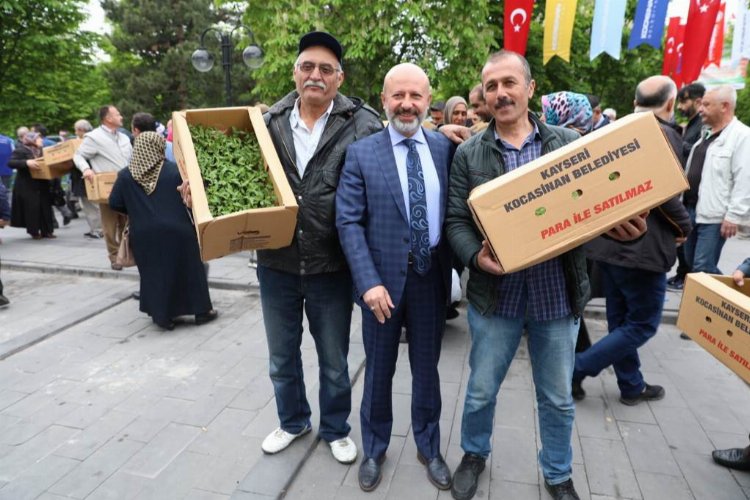 Kayseri Kocasinan'ın domates efsanesi geri döndü 