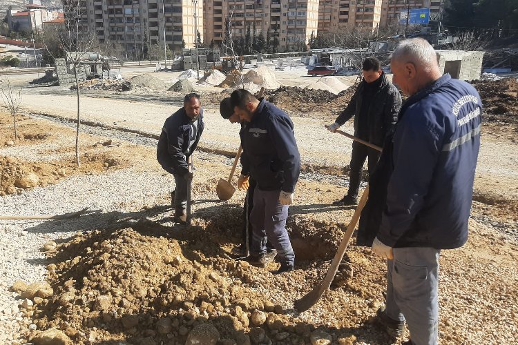 Kilis'te yeni açılan cadde ve bulvarlara ağaç dikimi yapıldı