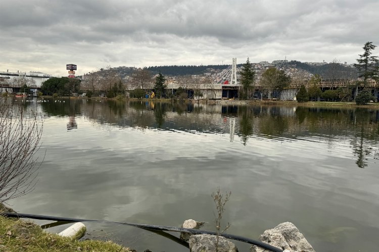 'Millet'in göletinde ekosistem gelişecek