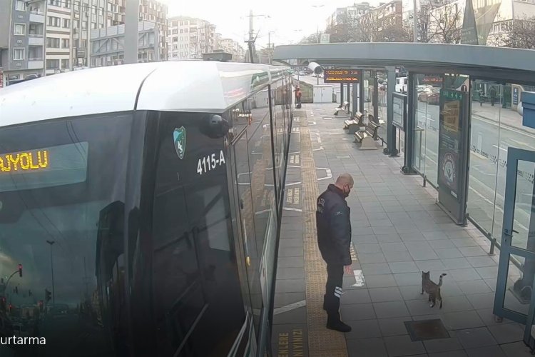 Kocaeli'nde güvenlik personelinin dikkati kediyi kurtardı 