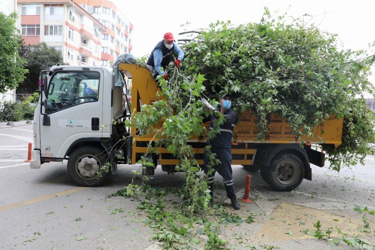 Kocaeli İzmit'te çocuklar meyveleri dalından yiyecek 