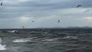 Kocaeli'nin Doğusunda Kuvvetli Sağanak Yağışlara Dikkat!