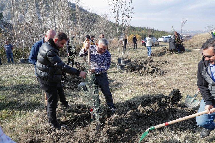 Kütahya Belediyesi'nden ağaçlandırma etkinliği