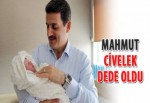 Mahmut Civelek dede oldu