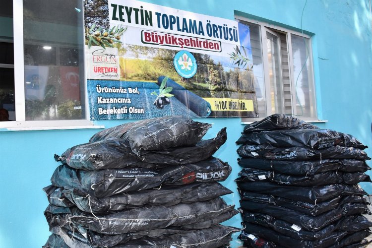 Manisa 30 bin zeytin toplama örtüsü dağıtıyor