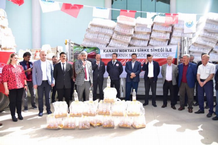 Manisa'da kırsalda kalkınma çalışması 