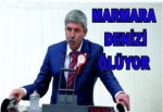 Marmara Denizinin Kirliliği Mecliste