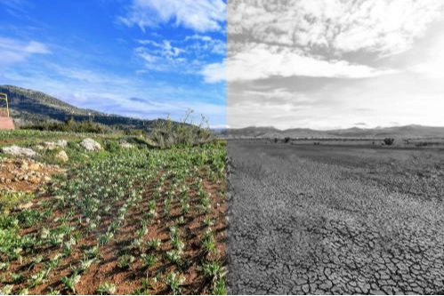 Mersin’de iklim ve yeşil dönüşüm önceliği
