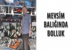 Mevsim balığında bolluk