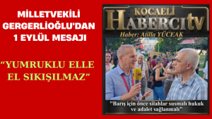 Milletvekili Gergerlioğlu'dan 1 Eylül Mesajı;