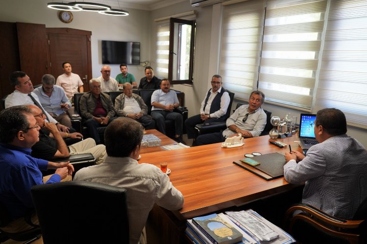 Muğla Milas bu yıl zeytin hasadına 'aşk'la yola çıkıyor