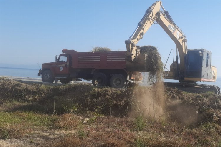 Muğla Milas'ta mevsimlik bakım ve budama