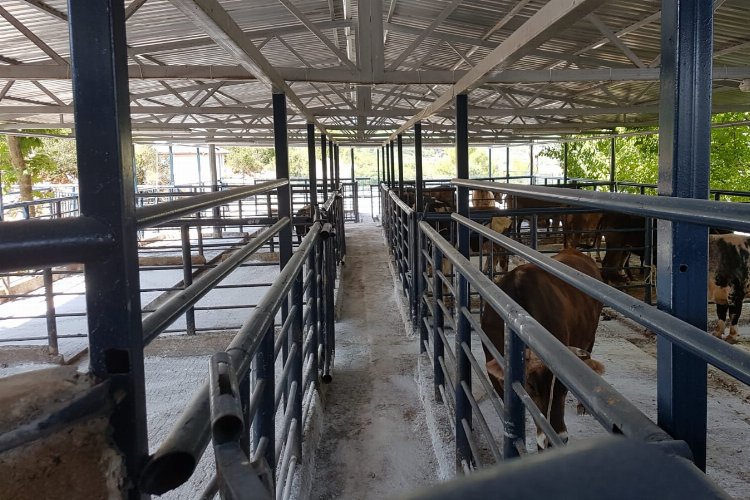 Muğla'da hijyenik koşullarda et hizmeti 