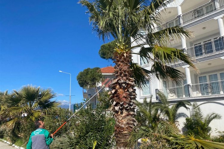 Muğla Milas Belediyesi Boğaziçi, Güllük ve Kırcağız'da çalışmalarına devam ediyor