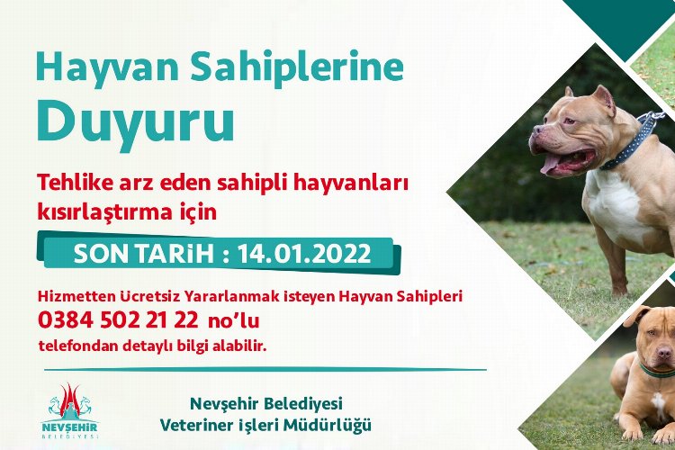 Nevşehir'de yasaklı ırk köpekler ücretsiz kısırlaştırılacak 
