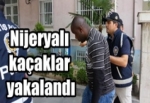 Nijeryalı kaçaklar yakalandı