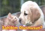 "Sahibim Olur Musun" Projesi