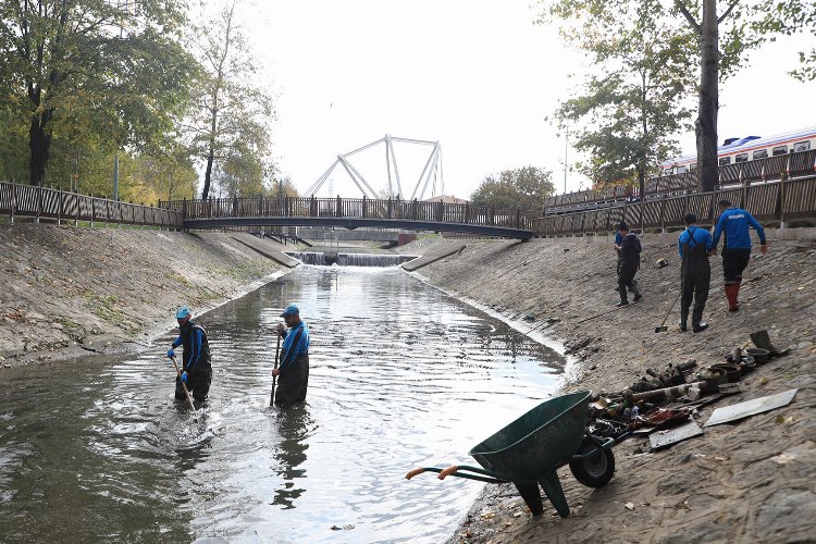 Sakarya'nın 'Çark'ında kapsamlı temizlik