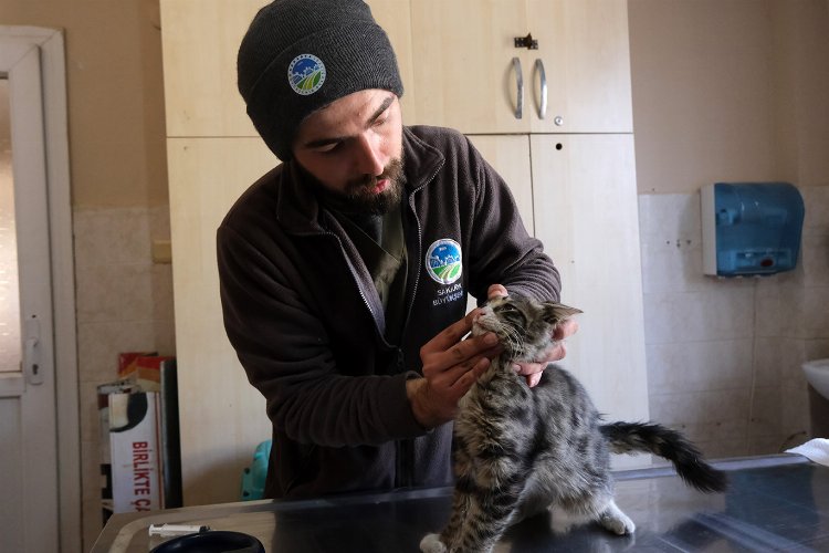 Sakarya'nın veteriner ekibi Antakya'da can dostlarının yanında