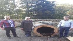 Sakarya Orman Bölge Müdürlüğü Değerlendirme Toplantısını Maşukiye’de gerçekleştirdi