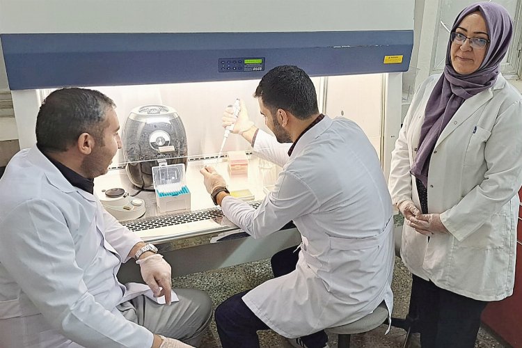 Şanlıurfa'da 'sağlıklı et' tüketimine bilimsel katkı