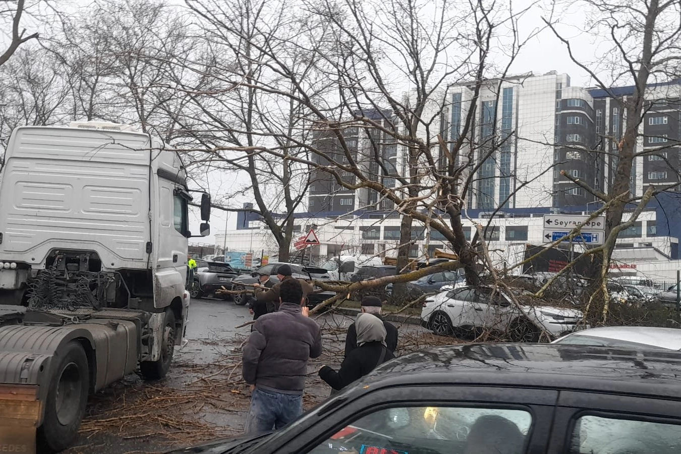 İstanbul'da fırtına: Ağaç devrildi, sahil yolları kapandı!