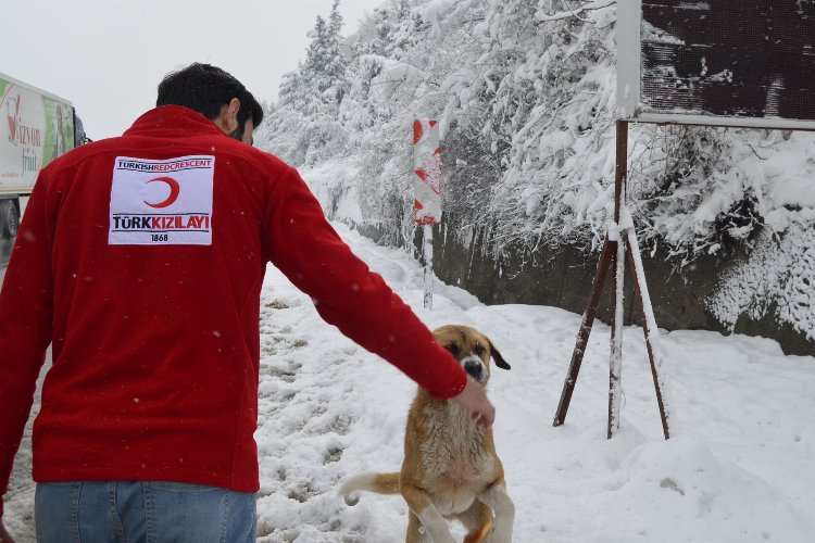 Türk Kızılayı Bursa'da gönülleri ısıtıyor