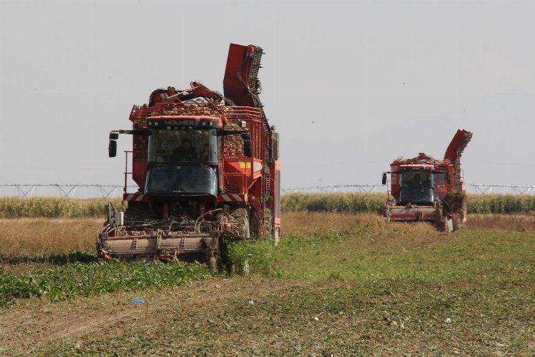 Üretici ortağa 181 milyon TL pancar söküm avansı