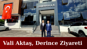 Vali Aktaş, Derince’de İncelemelerde Bulundu