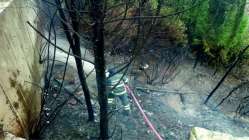 Yangında 2 dönüm ormanlık alan zarar gördü