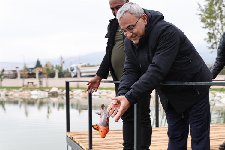 Yedigöller'e koi balığı bırakıldı