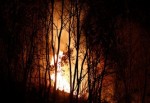 Yüksek gerilim hattı ormanı yaktı