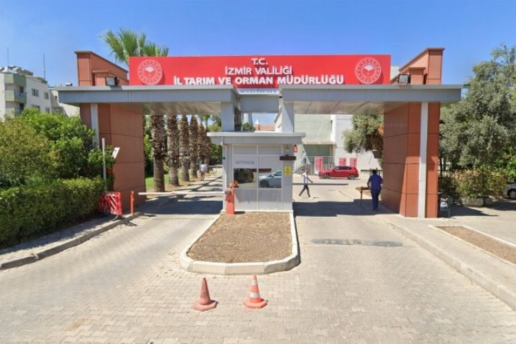 İzmir'de 8 ton balığa el kondu 