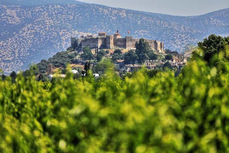 İzmir Efes Selçuk'ta 'Doğa Dostu Verimli Tarımsal Üretim' konuşulacak 