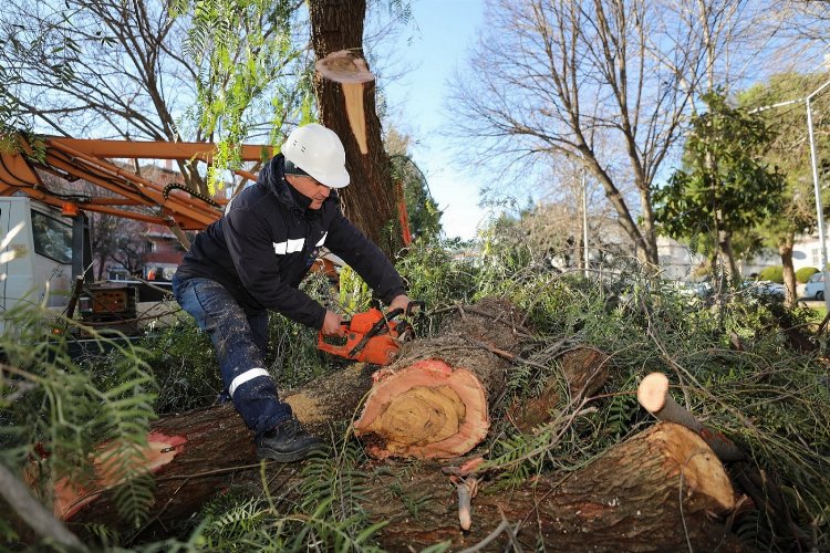 İzmir Gaziemir'de atık dallar evleri ısıtacak 