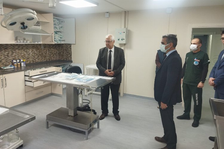 İzmir Karabağlar'da can dostlar için örnek sistem 