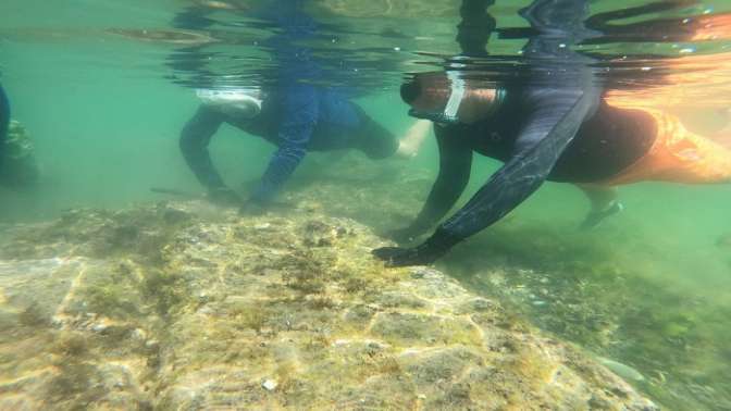 Yalovadaki su altı kazıları tarihe ışık tutacak