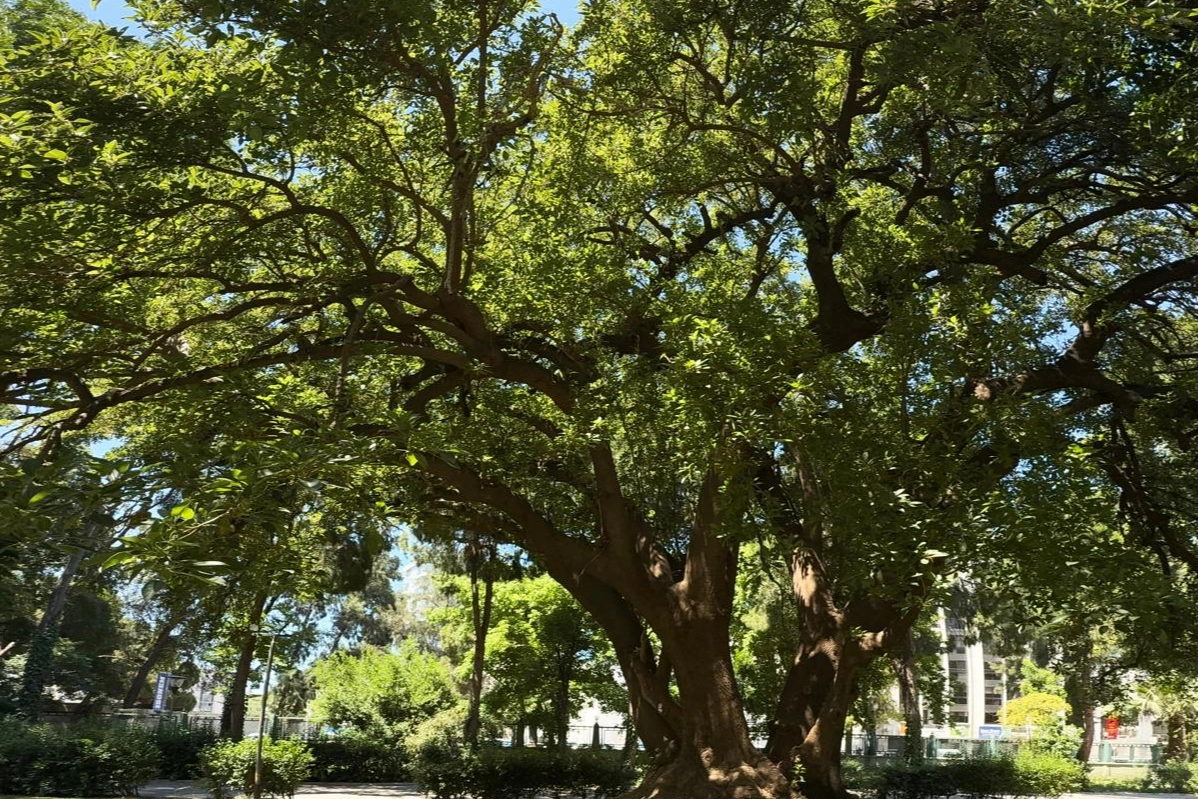 İzmir'de Kültürpark’ın köklerine yolculuk