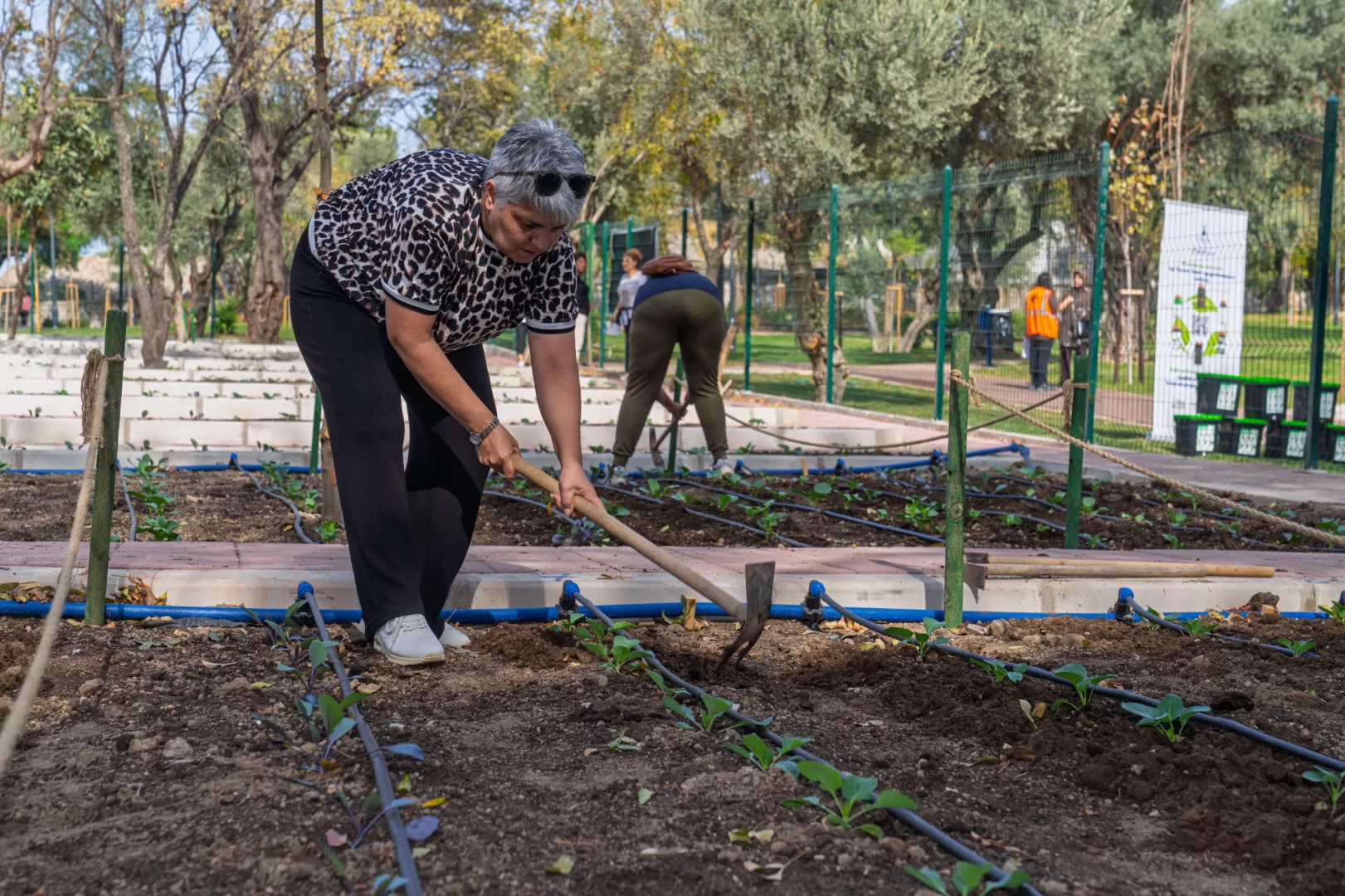 İzmir'de toprakla buluştu, yaşama yeniden tutundu