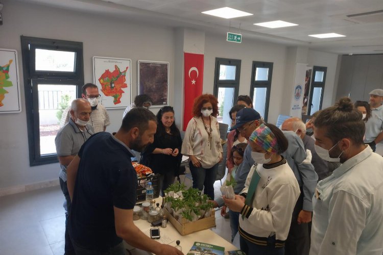 İzmir Efes'te atalık tohum ve fide üretim eğitimi verildi 