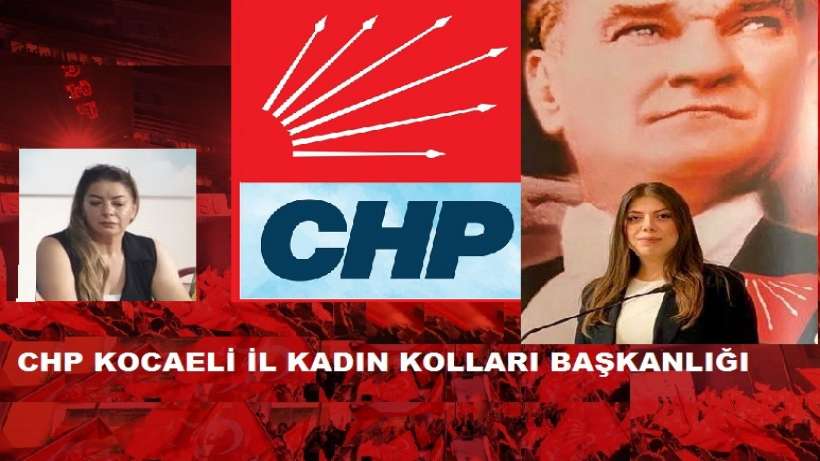 CHP Kadın Kolları'ndan Eş Zamanlı Basın Açıklaması: "Kadın Cinayetleri Politiktir!"